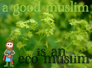 Islamic environmentalism