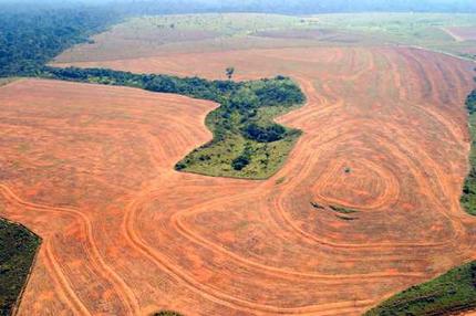Hazards of deforestation