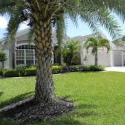vintage doral estate