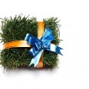 eco freindly products