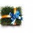 eco freindly products
