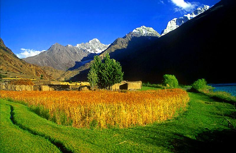 Environmental degradation in Chitral