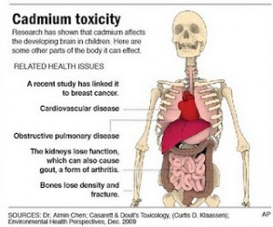 Cadmium Health Hazards