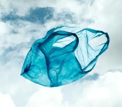 get rid of plastic bags