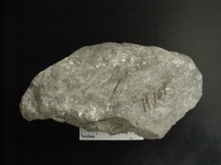 Uranium Deposits in Pakistan and their Formations