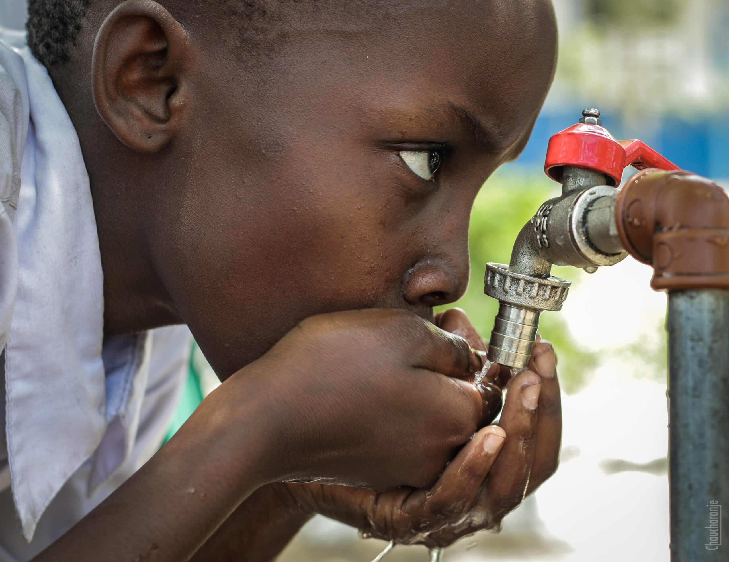 science-online-the-water-pollutants-and-the-protection-of-the-water